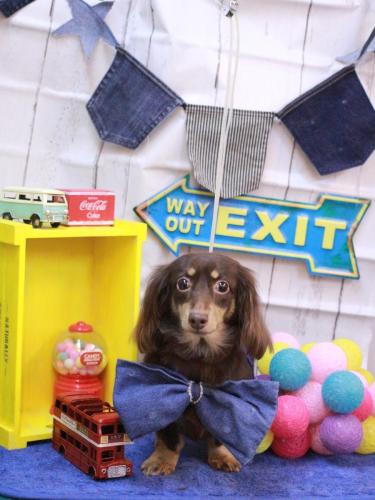 20230408ココくん